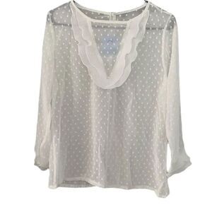 Beautiful Sheer Blouse 